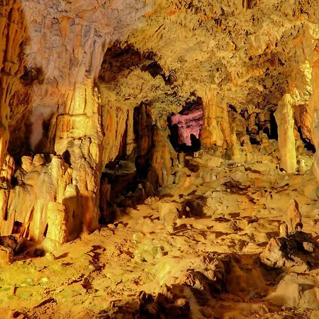 In - Insel Krk 13555 Šilo